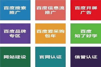 行业领先企业的网站sem托管实践